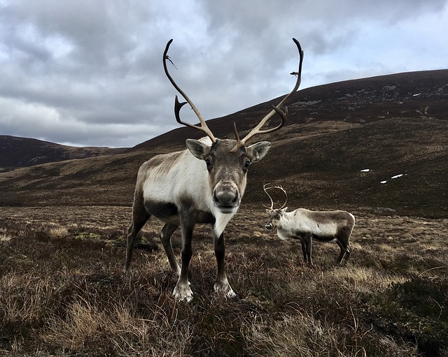 Cairngorms National Park