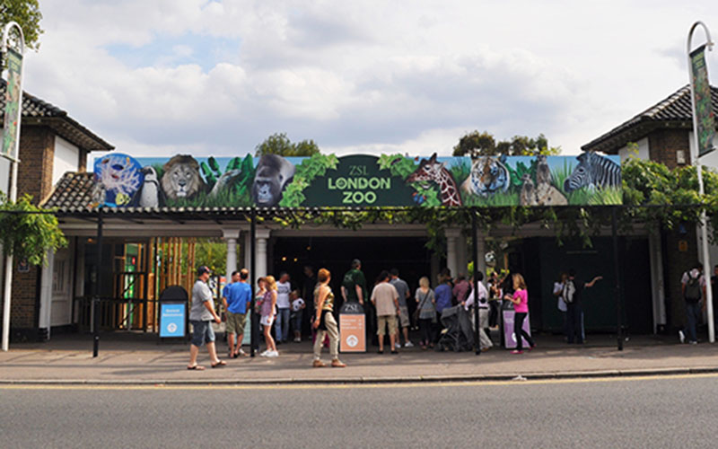 ZSL London Zoo - Things to Know Before Visiting the Famous Zoo