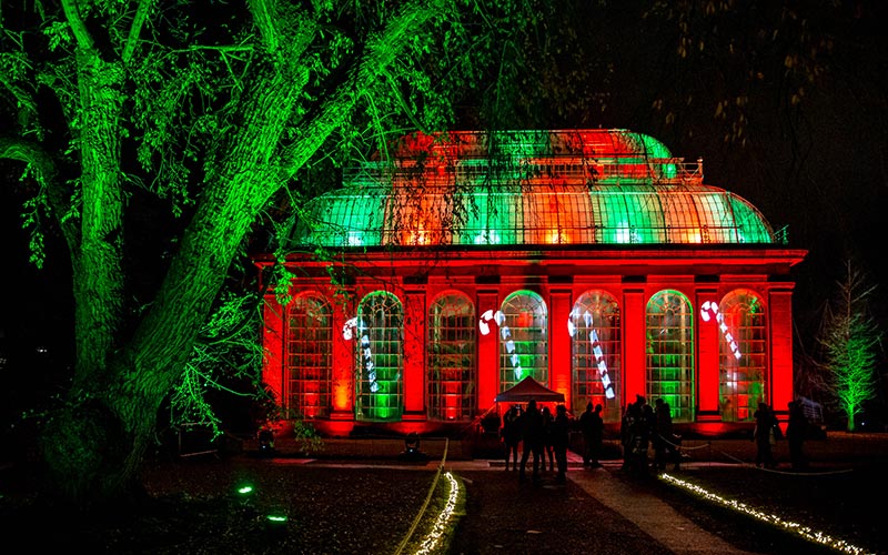 Royal Botanic Garden at Christmas