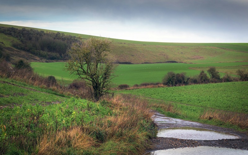 south downs way uk