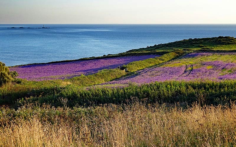 Cornwall UK