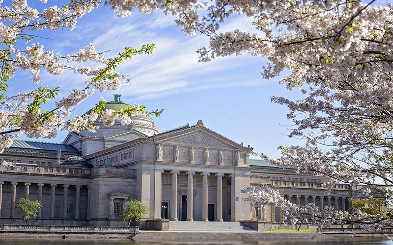 Museums in London