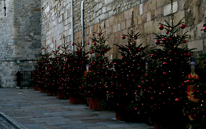 Christmas-Tree-Festival-uk