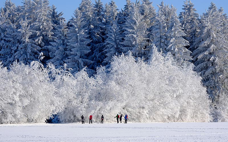 February Weather UK