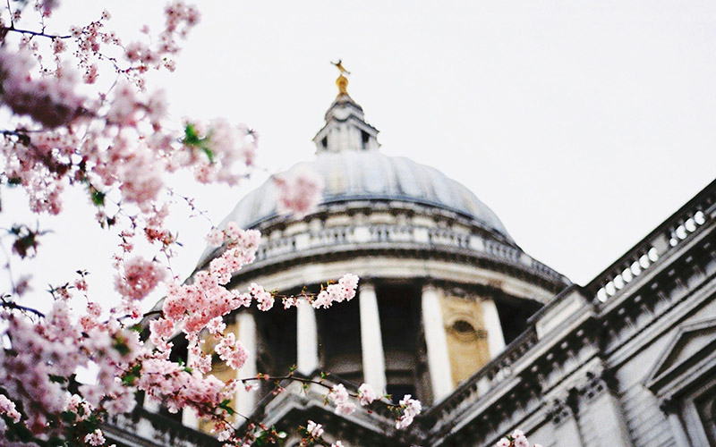 Spring blooms at St. Paul's Cathedral, London