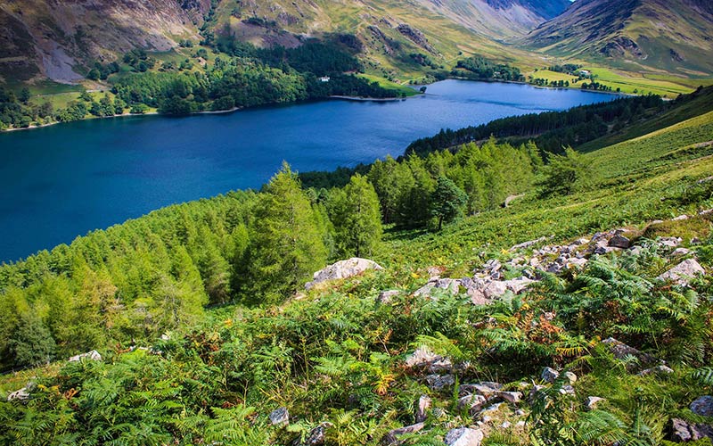 A scenic view of spring in the Lake District