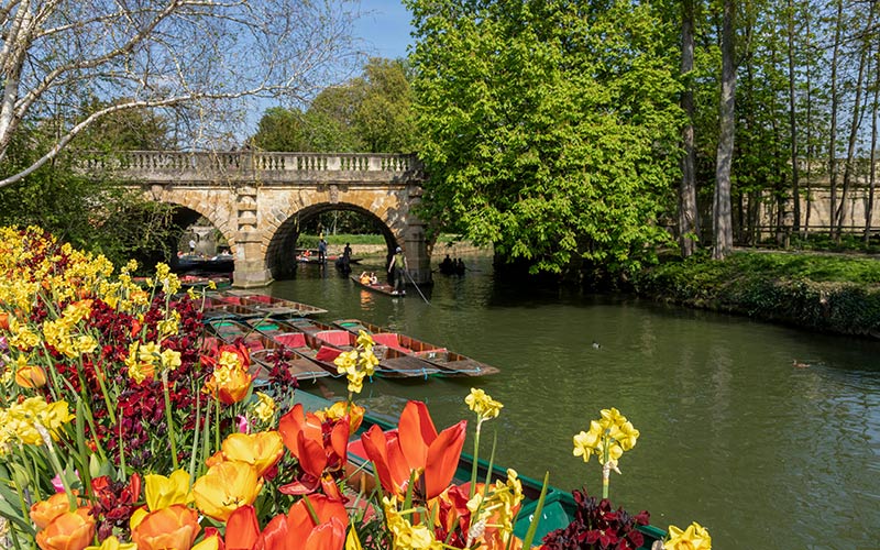 Springtime view of the River Cherwell in Oxford