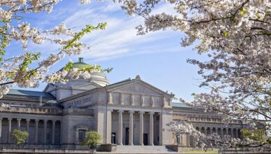 Spring blossoms at UK museums in April